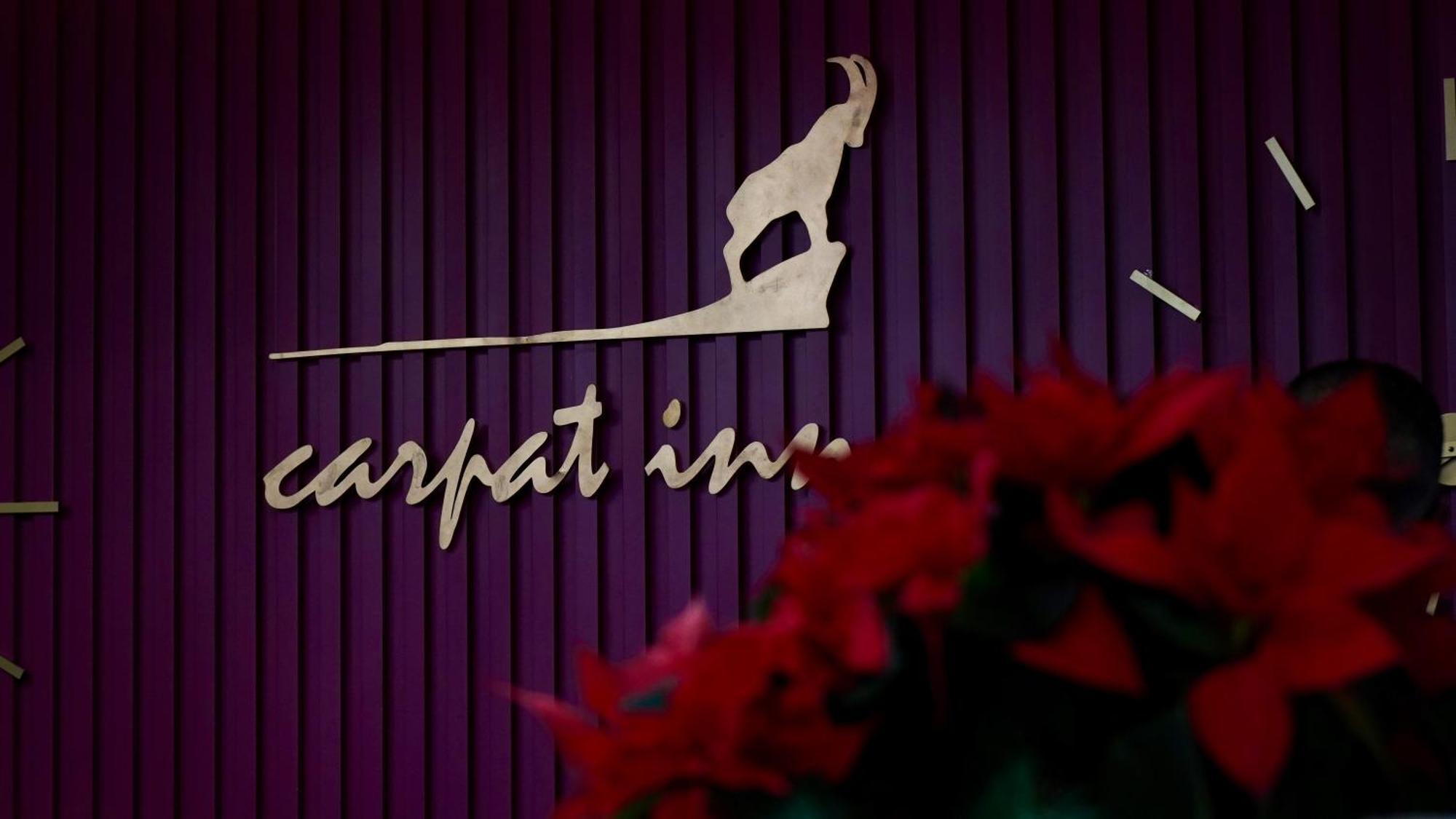 Hotel Carpat Inn Azuga Extérieur photo