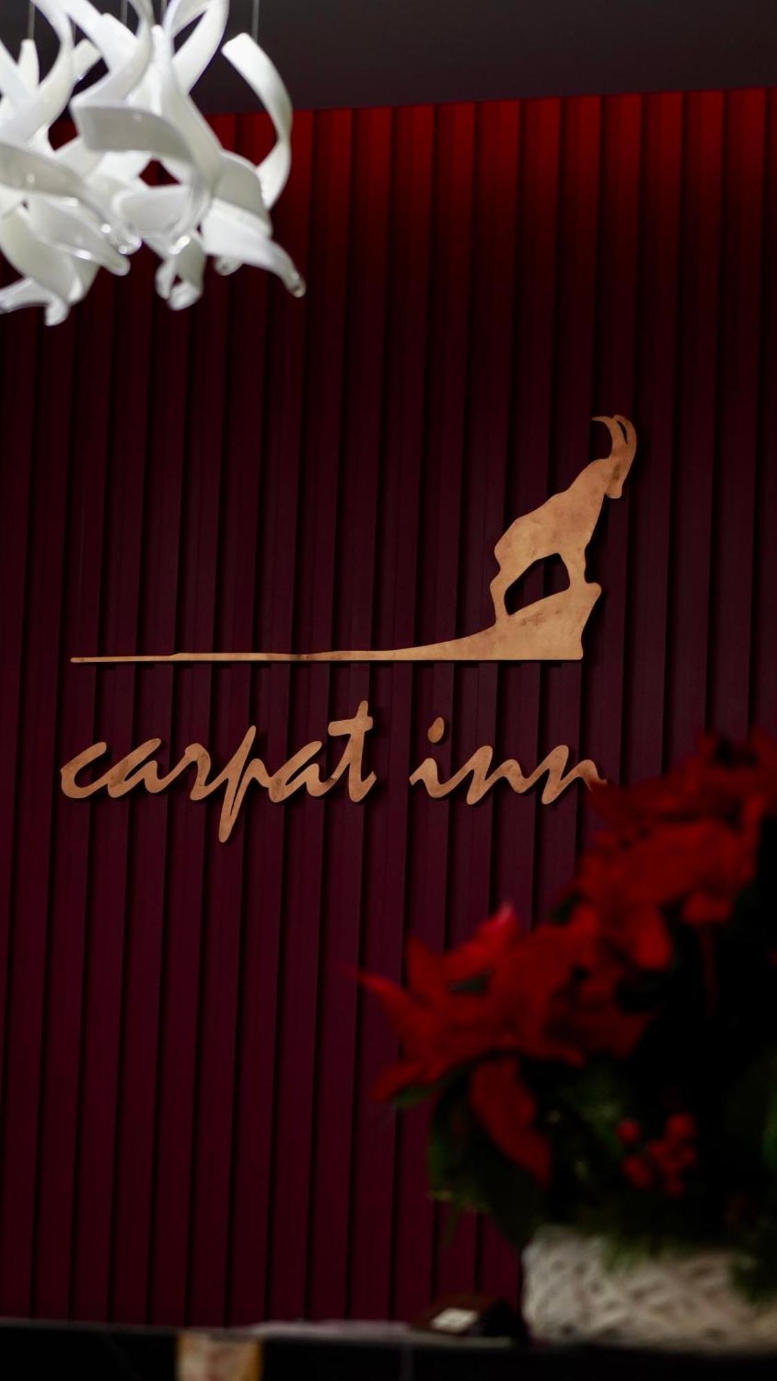 Hotel Carpat Inn Azuga Extérieur photo